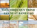 Tiểu luận Giới thiệu quy trình sản xuất bánh gạo - Trần Thị Thu Trà