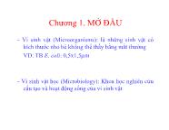 Vi sinh vật thực phẩm - Chương 1: Mở đầu - Trần Thị Huyền