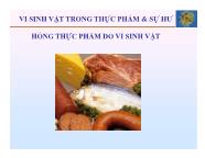 Vi sinh vật thực phẩm - Chương 11: Vi sinh vật trong thực phẩm & sự hư hỏng thực phẩm do vi sinh vật - Trần Thị Huyền