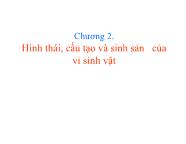 Vi sinh vật thực phẩm - Chương 2: Hình thái, cấu tạo và sinh sản của vi sinh vật - Trần Thị Huyền