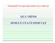 Vi sinh vật thực phẩm - Chương 3: Các quá trình sinh lý của vi sinh vật - Trần Thị Huyền