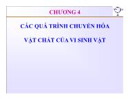 Vi sinh vật thực phẩm - Chương 4: Các quá trình chuyển hóa vật chất của vi sinh vật - Trần Thị Huyền