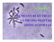 Vi sinh vật thực phẩm - Chương 5: Những vấn đề kỹ thuật và phương pháp tạo giống vi sinh vật - Trần Thị Huyền