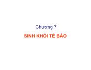 Vi sinh vật thực phẩm - Chương 7: Sinh khối tế bào - Trần Thị Huyền