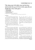 Xây dựng quy trình phân type đa hình đơn nucleotide trên gen IFNL4 có liên quan đến sự thanh thải virus viêm gan C