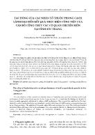 Tác động của các nhân tố thuộc phong cách lãnh đạo đến kết quả thực hiện công việc của cán bộ công chức các cơ quan chuyên môn tại tỉnh Sóc Trăng - Cao Minh Trí