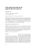 Nông nghiệp đồng bằng Bắc Bộ thập niên đầu thời kỳ đổi mới - Nguyễn Ngọc Mão