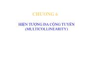 Bài giảng Kinh tế lượng - Chương 6: Hiện tượng đa cộng tuyến (Multicollinearity)