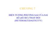 Bài giảng Kinh tế lượng - Chương 7: Hiện tượng phương sai của sai số (Số dư) thay đổi (Heteroscedasticity)