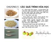 Bài giảng Các quá trình cơ bản trong công nghệ thực phẩm - Chương 5: Các quá trình hóa học