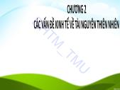 Bài giảng Kinh tế môi trường - Chương 2: Các vấn đề kinh tế về tài nguyên thiên nhiên