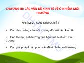 Bài giảng Kinh tế môi trường - Chương 3: Các vấn đề kinh tế về ô nhiễm môi trường