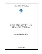 Giáo trình Luật hình sự Việt Nam - Phần các tội phạm (Phần 1)