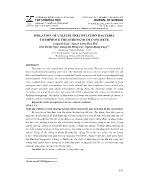 Isolation of calcite precipitation bacteria to improve the strength of concrete