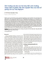 Ảnh hưởng của độ cao hái máy đến sinh trưởng, năng suất và phẩm cấp chè nguyên liệu của một số giống chè tại Thái Nguyên