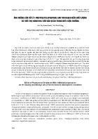 Ảnh hưởng của xử lý 1-Methylcyclopropene sau thu hoạch đến chất lượng và tuổi thọ hành hoa tươi bảo quản trong điều kiện thường