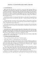 Bài giảng Chăn nuôi heo - Chương 5: Vệ sinh phòng dịch trong trại heo