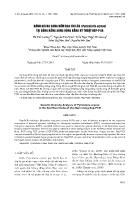 Đánh giá đa dạng nấm đạo ôn lúa (Pyricularia oryzae) tại đồng bằng sông Hồng bằng kỹ thuật REP-PCR