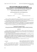 Đánh giá sinh trưởng và năng suất của nấm sò vua (Pleurotus eryngii (DC.:Fr.) Quel) trên nguyên liệu nuôi trồng khác nhau