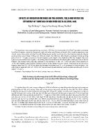 Effects of irrigation methods on the growth, yield and water use efficiency of tomatoes in Red river delta alluvial soil