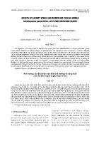 Effects of salinity stress on growth and yield of quinoa (Chenopodium quinoa Willd.) at flower initiation stages