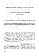 Evaluation of purple waxy corn lines for hybrid variety development