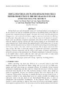 Simulated yield and water demand for chilli pepper production in the dry seasons in floodaffected Chau Phu district