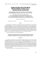 Sử dụng giá thể gốm kỹ thuật và phân chậm tan trồng cây rau húng bạc hà (Mentha arvensis L.) trong nhà có mái che tại Gia Lâm, Hà Nội