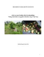 Tài liệu Cây ca cao ở Đắk Lắk và Lâm Đồng: Những thách thức trong phát triển bền vững ở Việt Nam