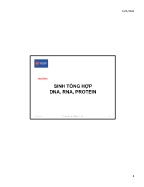 Bài giảng Công nghệ Gene - Chương 1: Sinh tổng hợp DNA, RNA, protein