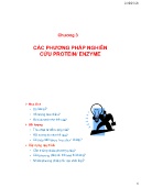 Bài giảng Công nghệ Protein-Enzyme - Chương 3: Các phương pháp nghiên cứu protein/enzyme