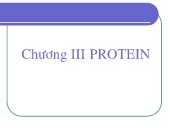 Bài giảng Hoá sinh đại cương - Chương 3: Protein