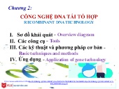 Bài giảng Nhập môn Công nghệ sinh học - Chương 2: Công nghệ DNA tái tổ hợp