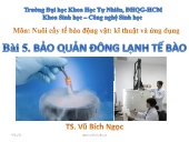 Bài giảng Nuôi cấy tế bào động vật: Kĩ thuật và ứng dụng - Bài 5: Bảo quản đông lạnh tế bào - Vũ Bích Ngọc