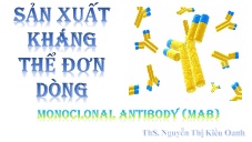 Bài giảng Sản xuất kháng thể đơn dòng - Nguyễn Thị Kiều Oanh