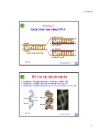 Bài giảng Sinh học phân tử - Chương 3: Quá trình sao chép DNA