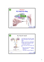 Bài giảng Sinh học phân tử - Chương 7: Kỹ thuật tạo dòng