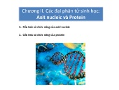 Bài giảng Sinh học phân tử I - Chương II: Các đại phân tử sinh học Acid nucleic và Protein