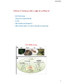 Bài giảng Sinh thái vi sinh vật - Chương 5: Tương tác giữa vi sinh vật và động vật