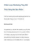 Chiến lược marketing thay đổi theo vòng đời sản phẩm