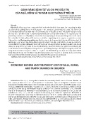 Gánh nặng bệnh tật và chi phí điều trị của ngã, bỏng và tai nạn giao thông ở trẻ em