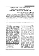 Giá trị của dấu ấn acid homovanillic và acid vanillylmandelic nước tiểu trong chẩn đoán u nguyên bào thần kinh