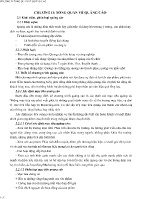 Giáo trình Quảng cáo - Chương II: Tổng quan về quảng cáo
