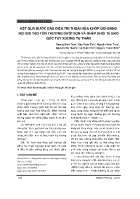 Kết quả bước đầu điều trị thoái hóa khớp gối bằng nội soi tạo tổn thương dưới sụn và ghép khối tế bào gốc tủy xương tự thân