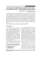 Kết quả điều trị bệnh nhân đái tháo đường sơ sinh do đột biến gen KCNJ11 và ABCC8 bằng sulfonylureas