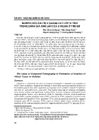 Nghiên cứu giá trị x quang cắt lớp vi tính trong đánh giá xâm lấn của u wilms ở trẻ em