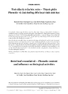 Tinh dầu lá trầu hóc môn – Thành phần Phenolic và ảnh hưởng đến hoạt tính sinh học