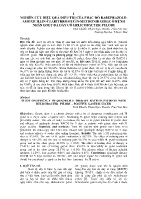 Nghiên cứu hiệu quả điều trị của phác đồ Rabeprazole - Amoxicillin - Clarithromycin - Metronidazole ở bệnh nhân loét dạ dày có helicobacter pylori